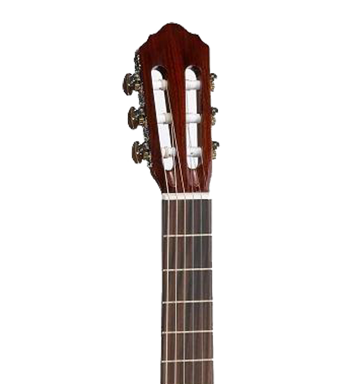 CORT AC120CE OP Open Pore with bag