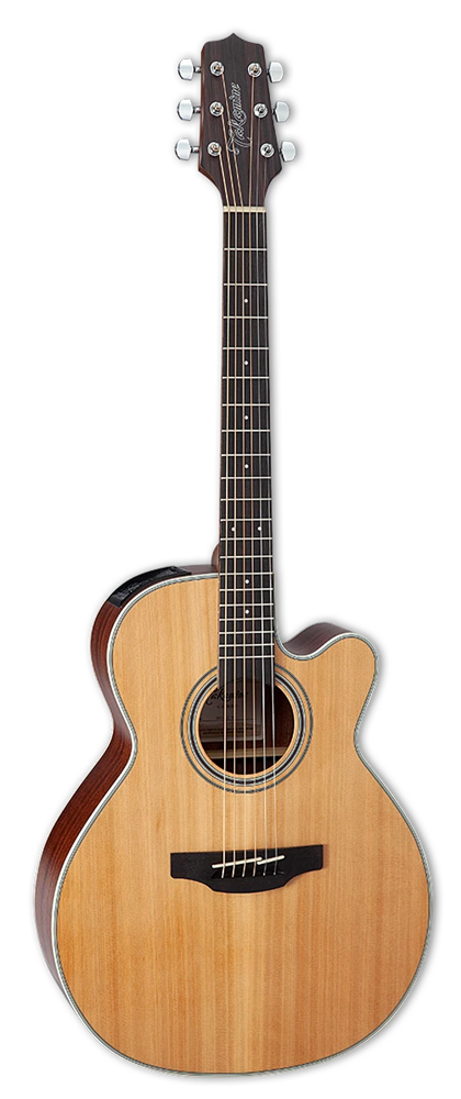 TAKAMINE GN20CE NS