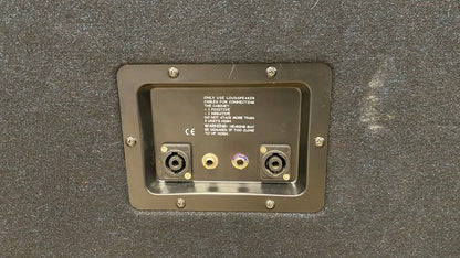 Warwick WCA 115 ND Neodyme Series - Usato