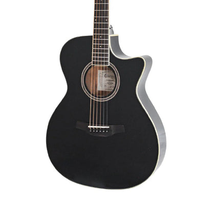 Crafter HT-250CE