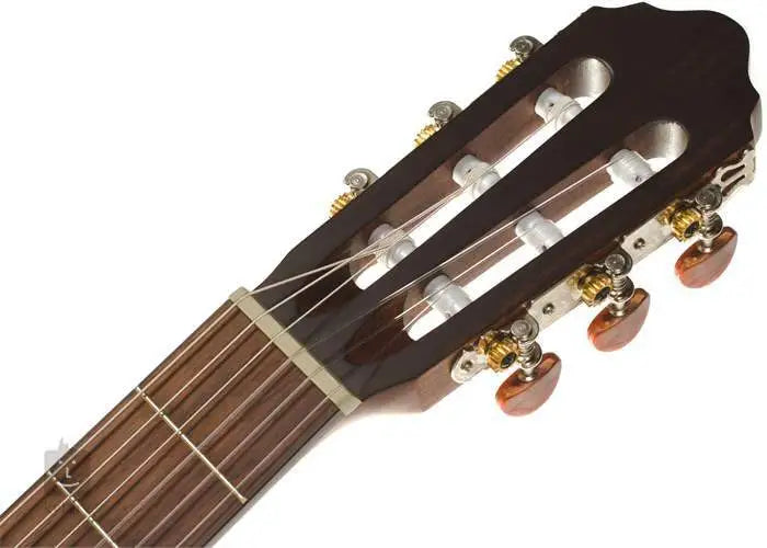 Cort AC 200 Natural Gloss with Bag